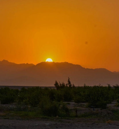 Hurghada : expérience d'observation des étoiles dans le désert