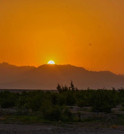 Hurghada: Star Watching Experience in the Desert