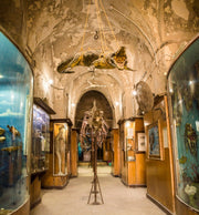 From Cairo: Full-Day Tour of Historical Alexandria