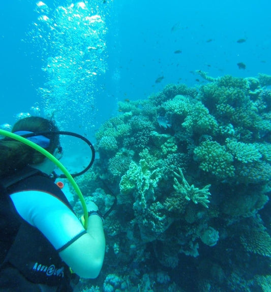 El Gouna: Discover Scuba Diving