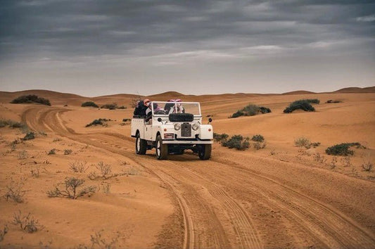 Dubaj: Platynowe safari na pustyni, pokaz sokolnictwa i tradycyjna kolacja