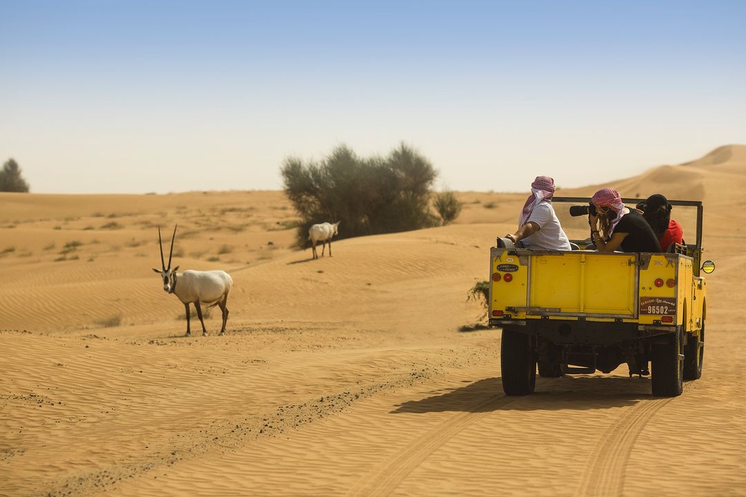 Dubai: Heritage-woestijnsafari en diner met overnachting