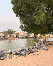Dubai: Tour di Conservazione Platinum & Colazione ad Al-Maha