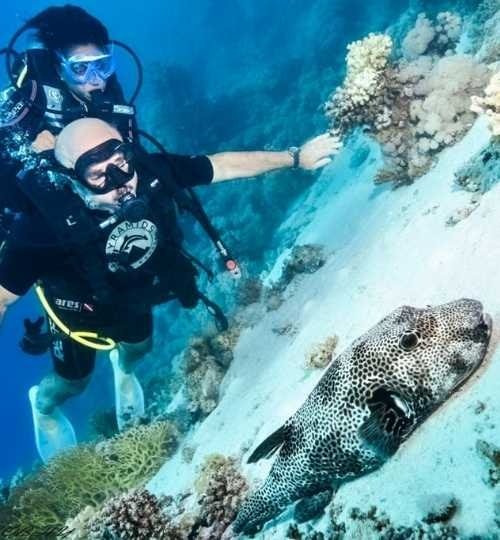 Sharm El Sheikh: Discover Scuba Diving Experience for Beginners