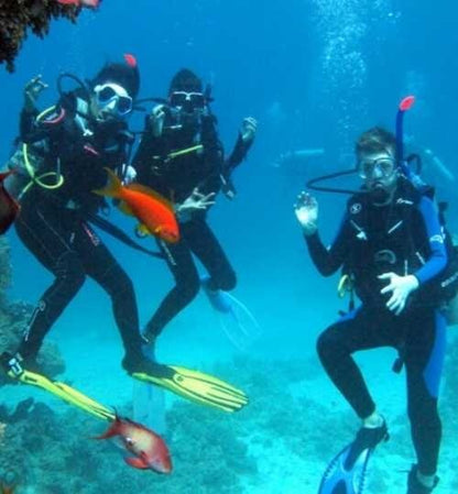 Sharm El Sheikh: Open Water Diving Course for Beginners
