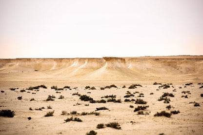 Doha: Richard Serra Sculpture, Mushroom Hills & Zekreet Fort Private Tour