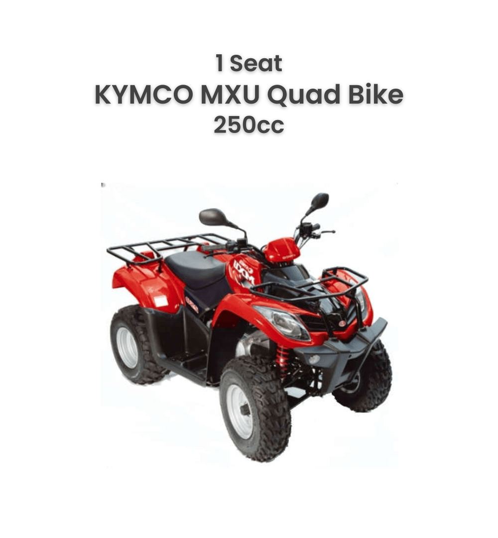 Dubai: Quad Bikes, Dune Buggy e ATV Desert Adventure