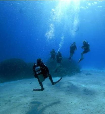 Charm el-Cheikh : découvrez l'expérience de plongée sous-marine pour les débutants