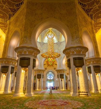 De Dubai: excursão de meio dia à mesquita Sheikh Zayed em Abu Dhabi