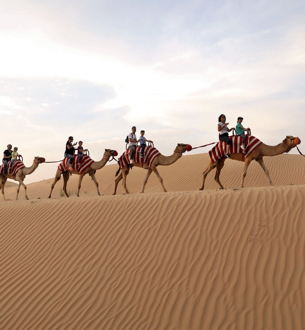 Dubai: Safari de meio dia no deserto, passeio nas dunas, sandboard e passeio de camelo