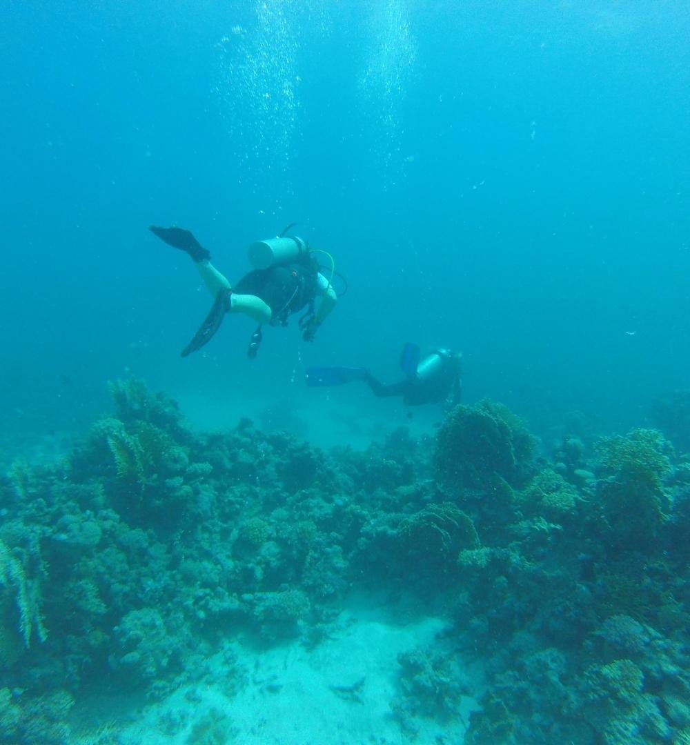 El Gouna: PADI Open Water Diving Course in El Gouna