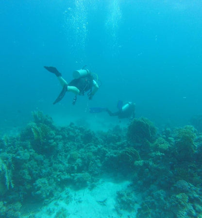 El Gouna: PADI Open Water Diving Course in El Gouna