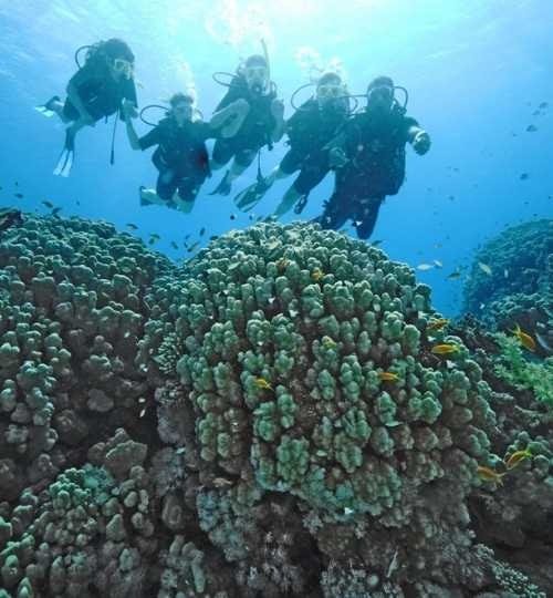 Sharm El Sheikh: Learn Scuba Diving Course for Beginners