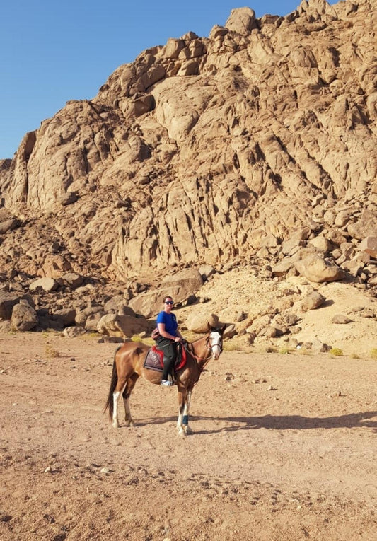 Sharm El Sheikh: passeio matinal a cavalo no deserto