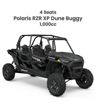 Buggy quad on sale