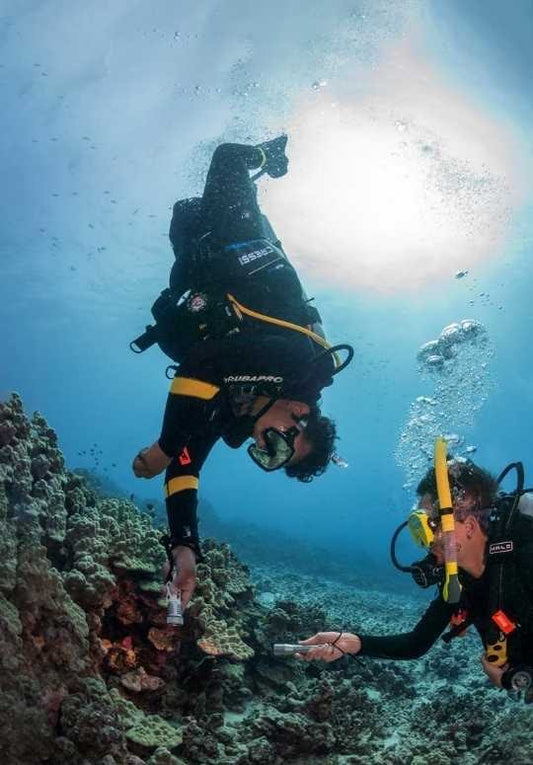 Sharm El Sheikh: aprenda curso de mergulho para iniciantes