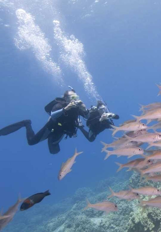 Sharm El Sheikh: aventura de mergulho fashion no Mar Vermelho para mergulhadores qualificados