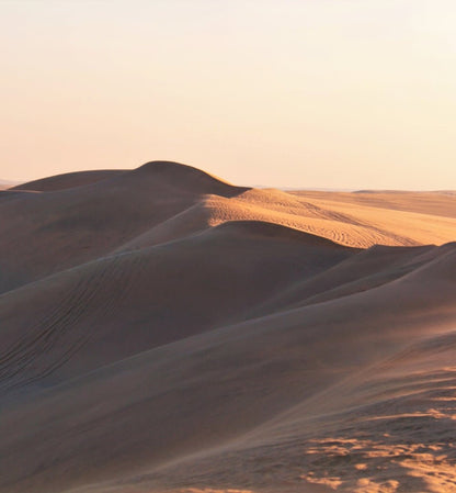 Doha : utilisation d'une journée dans un camp dans le désert, safari en option, sandboard et balade à dos de chameau