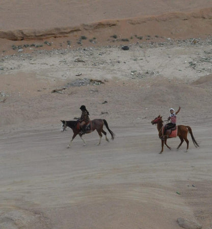 Sharm El Sheikh: Morning Horse Riding At The Desert