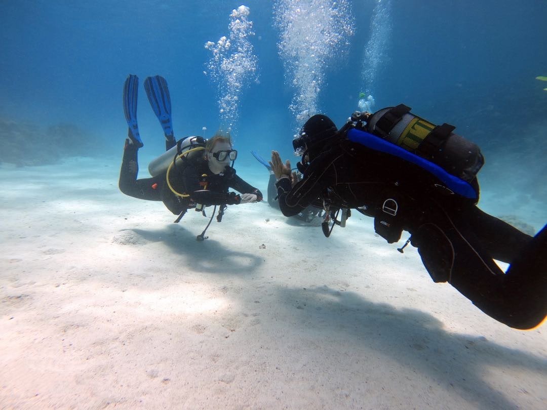 El Gouna: Schnuppertauchen für Anfänger