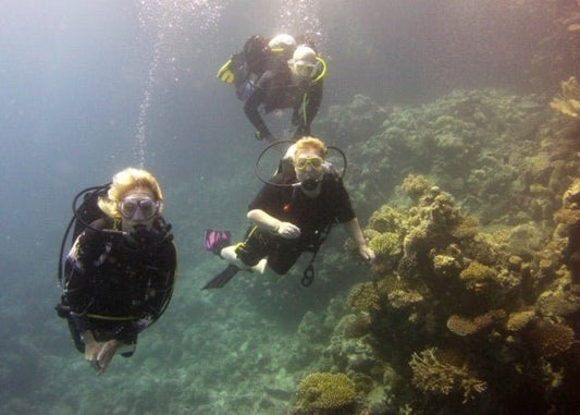 El Gouna: Daily Diving Trip (For Certified Divers Only)