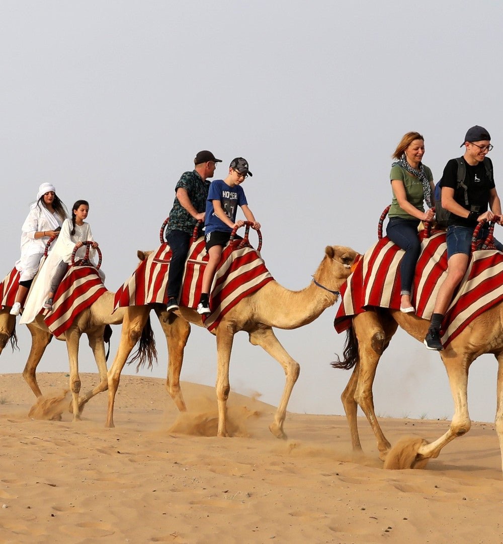 Dubai: Safari de meio dia no deserto, passeio nas dunas, sandboard e passeio de camelo