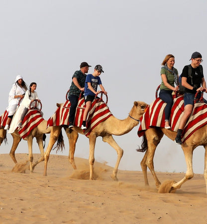 Dubai: Safari de meio dia no deserto, passeio nas dunas, sandboard e passeio de camelo