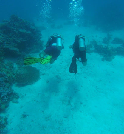 El Gouna: Entdecken Sie das Tauchen