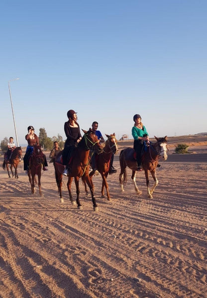 شرم الشيخ: ركوب الخيل عند غروب الشمس في الصحراء