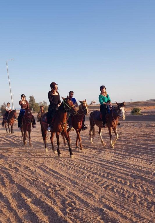 Szarm el-Szejk: Jazda konna o zachodzie słońca na pustyni
