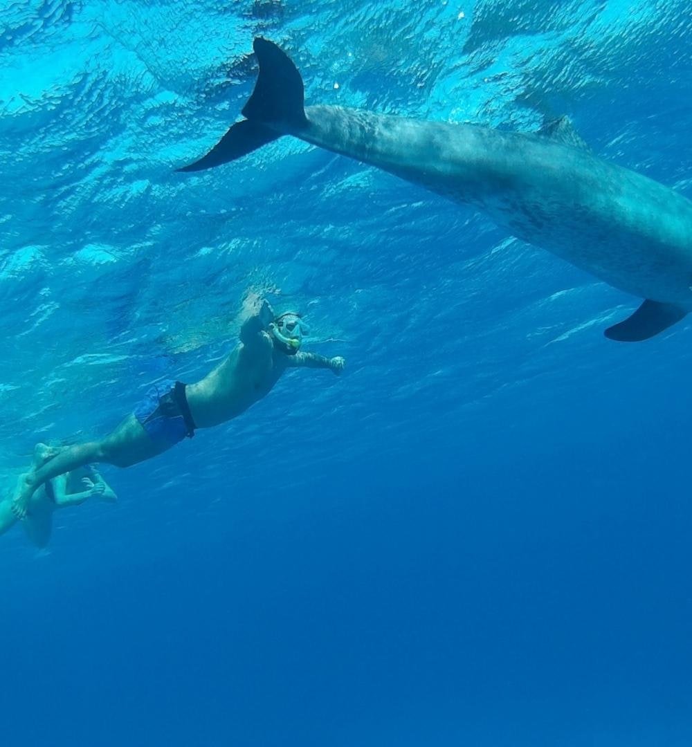 From El Gouna: Snorkeling 6 in 1 Yacht Trip in Hurghada with Buffet Lunch