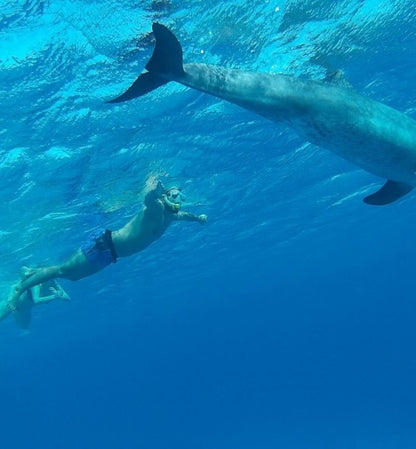 From El Gouna: Snorkeling 6 in 1 Yacht Trip in Hurghada with Buffet Lunch
