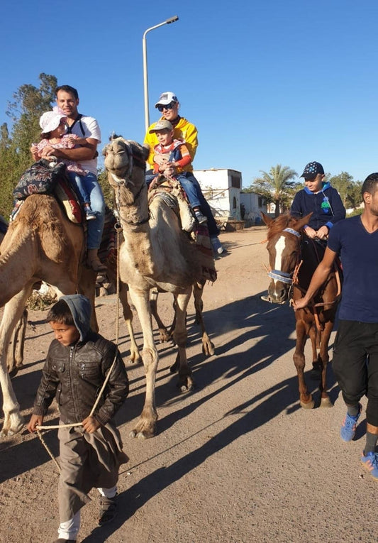 Szarm el-Szejk: Jazda na wielbłądzie o zachodzie słońca na pustyni