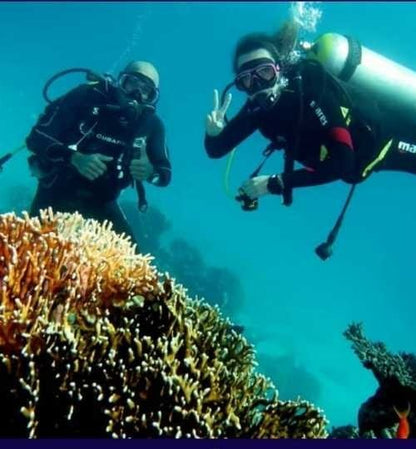 Sharm El Sheikh: Open Water Diving Course for Beginners