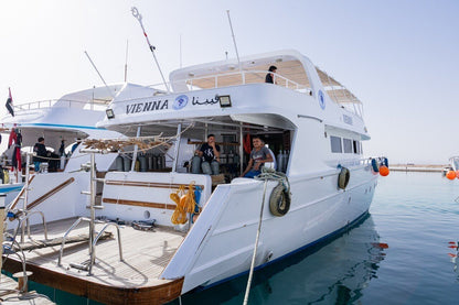 El Gouna: Dagstur for snorkling