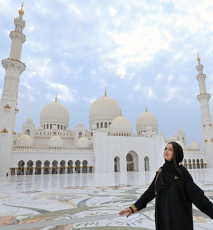 De Dubai: excursão de meio dia à mesquita Sheikh Zayed em Abu Dhabi