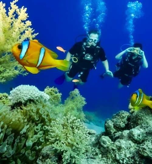 Charm el-Cheikh : découvrez l'expérience de plongée sous-marine pour les débutants