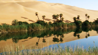 From Cairo: Black & White Desert and Bahiriya Oasis Guided Tour