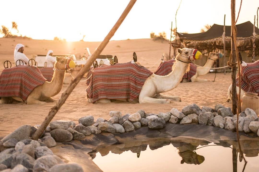 Dubai: Bedouin Desert Safari with Traditional Breakfast