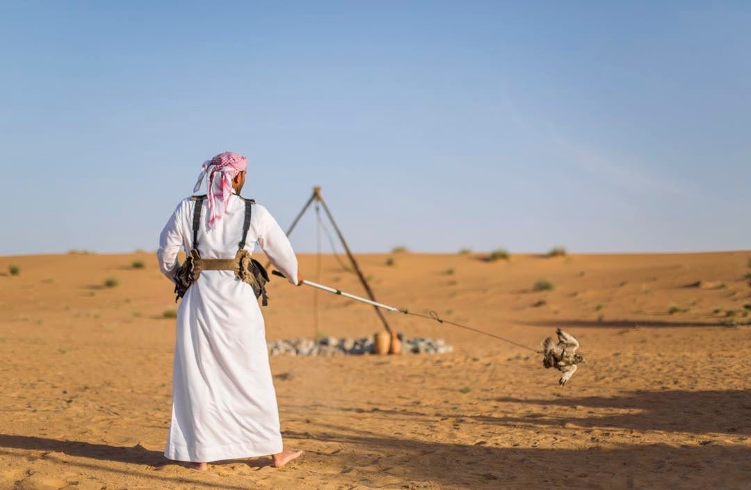 Dubai: Bedouin Desert Safari with Traditional Breakfast