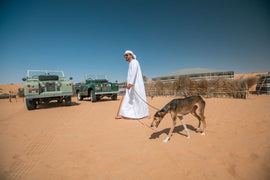 Dubái: safari beduino por el desierto con desayuno tradicional