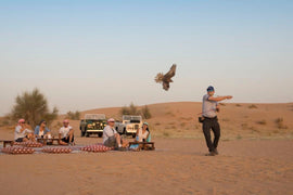 Dubaï : Safari nocturne à dos de chameau dans le désert, dîner traditionnel et petit-déjeuner