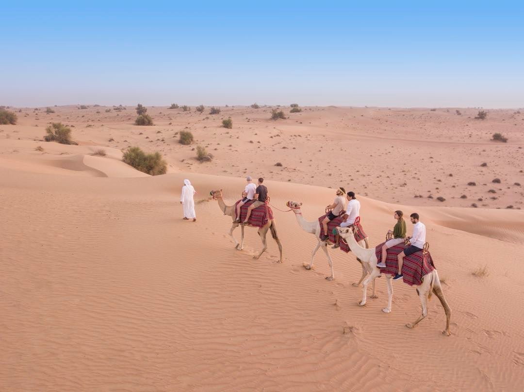 Dubai: kameelwoestijnsafari en traditioneel diner
