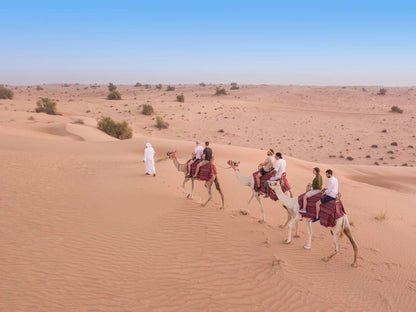 Dubai: kameelwoestijnsafari en traditioneel diner