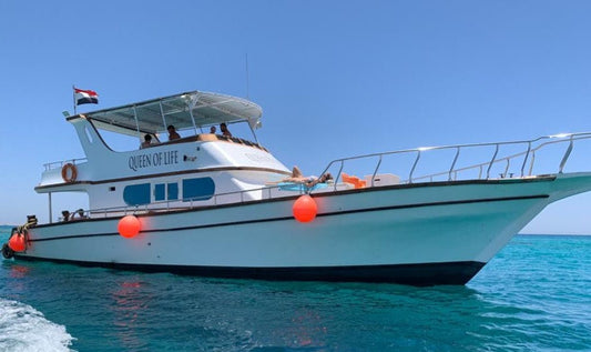 Hurghada: Queen of Life Private Boat Snorkeling Trip with Lunch and Soft Drinks