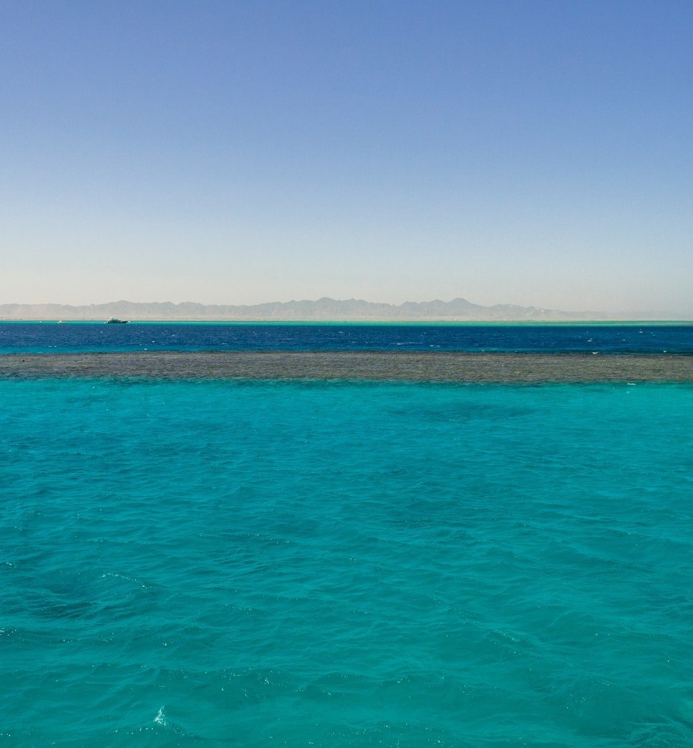 El Gouna: OMI Private Speedboat Trip to Bayoud