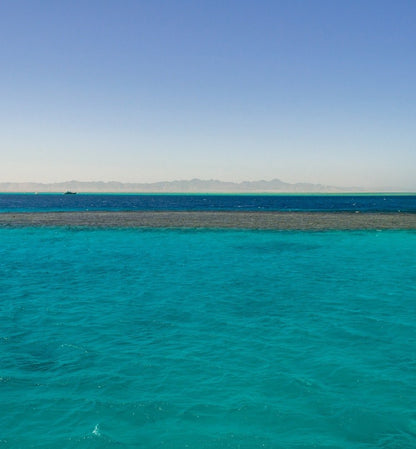 El Gouna: OMI Private Speedboat Trip to Bayoud
