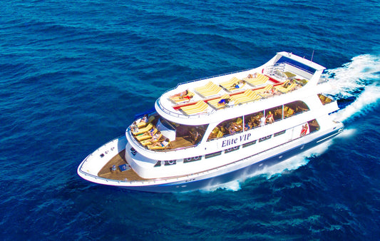 Sharm: Premium Snorkeling Cruise with BBQ Buffet Lunch