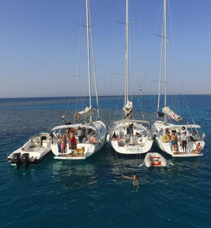 De El Gouna: viagem de um dia à vela para Bayoud