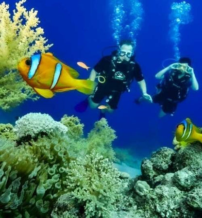 Sharm El Sheikh: curso de aprendizaje de buceo para principiantes